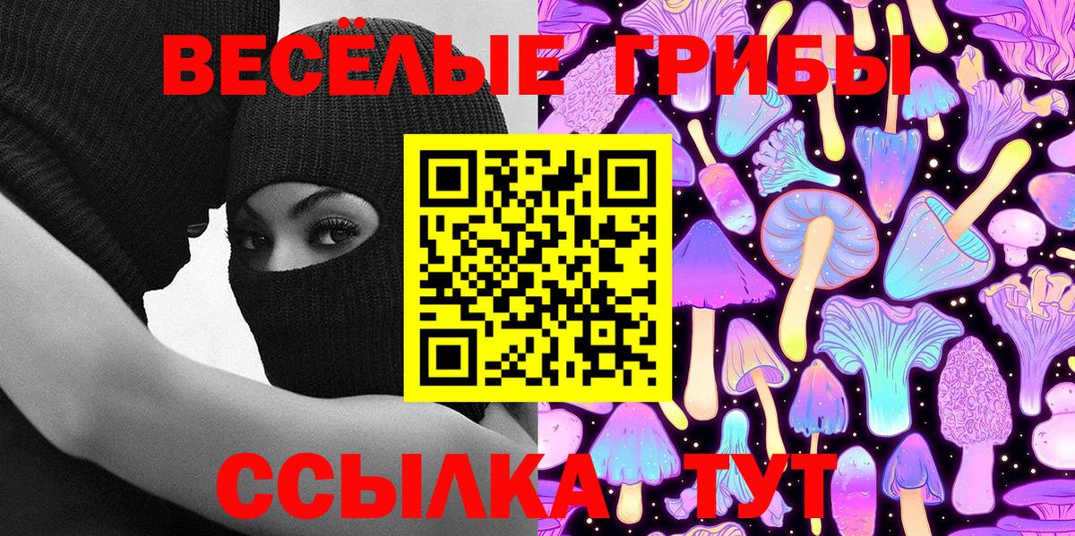Псилоцибиновые грибы GOLDEN TEACHER  Вход с VPN  Горно-Алтайск 